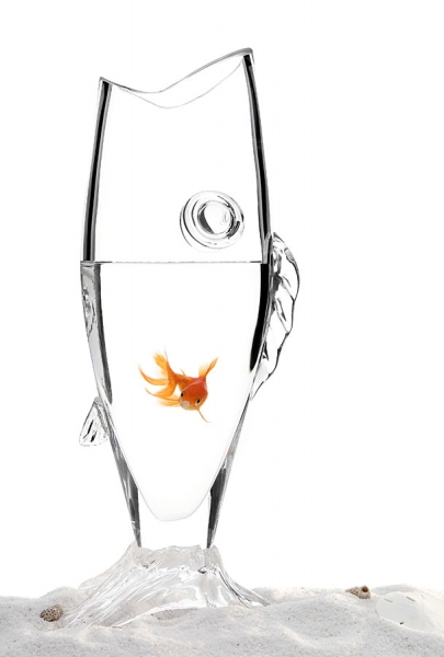 Photograph Hank Drew Fishy on One Eyeland
